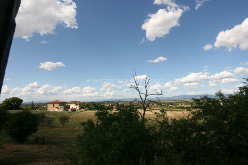 Immagine 20 di Rustico / casale in vendita  a Torrita Di Siena