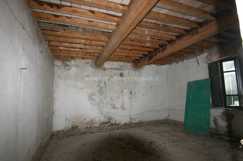 Immagine 24 di Rustico / casale in vendita  a Torrita Di Siena