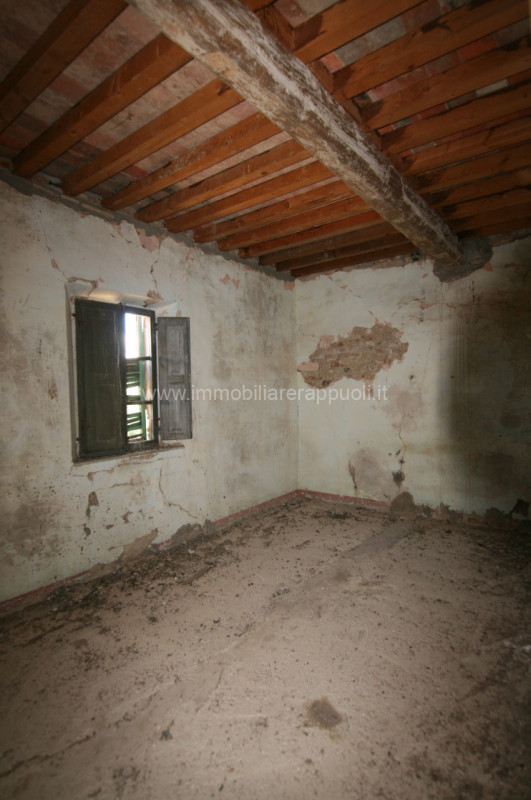 Immagine 26 di Rustico / casale in vendita  a Torrita Di Siena