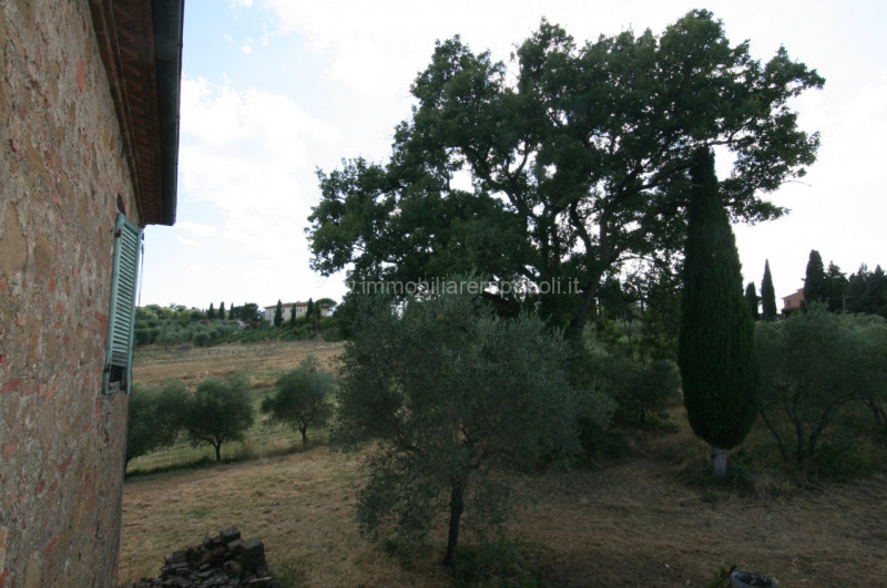 Immagine 32 di Rustico / casale in vendita  a Torrita Di Siena