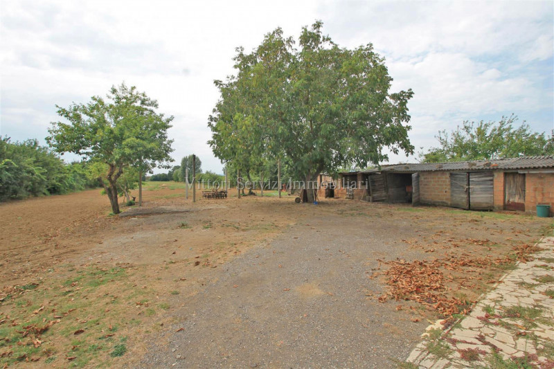 Immagine 4 di Casa indipendente in vendita  in santarello a Sinalunga