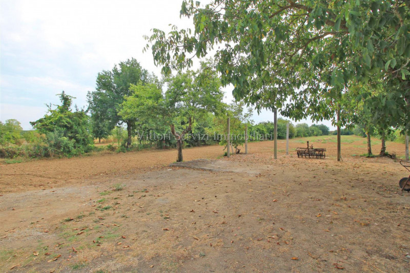 Immagine 6 di Casa indipendente in vendita  in santarello a Sinalunga