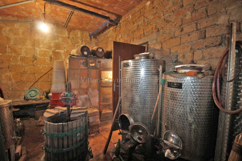 Immagine 21 di Casa indipendente in vendita  in santarello a Sinalunga