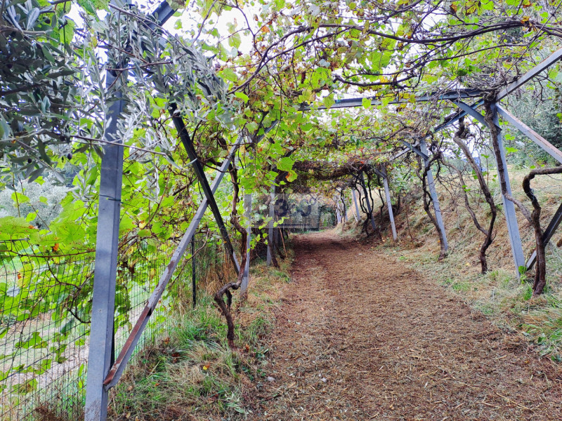 Immagine 21 di Villa in vendita  in Via XXV Aprile a Provaglio D'iseo