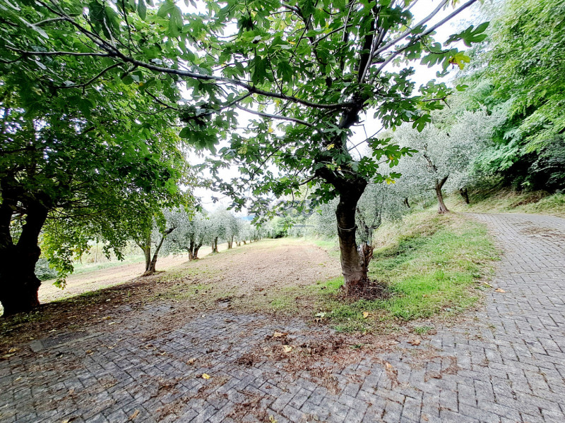 Immagine 34 di Villa in vendita  in Via XXV Aprile a Provaglio D'iseo