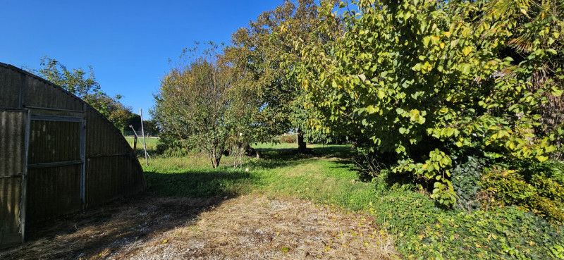 Immagine 3 di Casa bifamiliare in vendita  in Vescovana a Vescovana