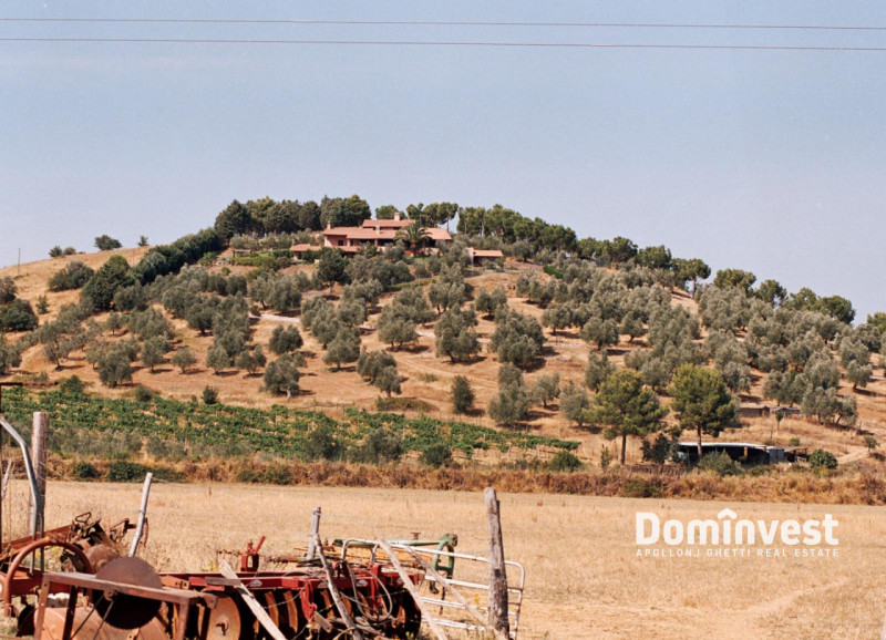 Immagine 3 di Villa in vendita  in Strada Provinciale 43 Macchiascandona a Castiglione Della Pescaia