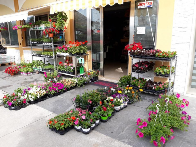 Immagine 4 di Attività commerciale in vendita  in via palestro a Calvisano