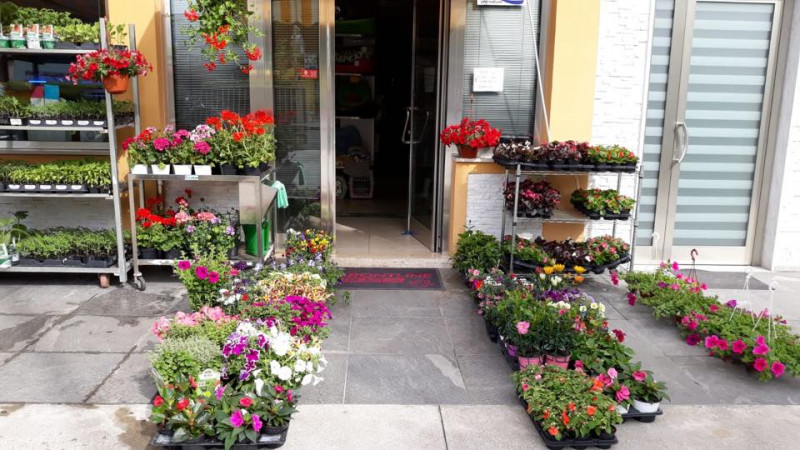 Immagine 17 di Attività commerciale in vendita  in via palestro a Calvisano