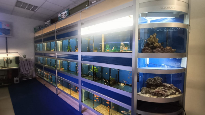 Immagine 20 di Attività commerciale in vendita  in via palestro a Calvisano