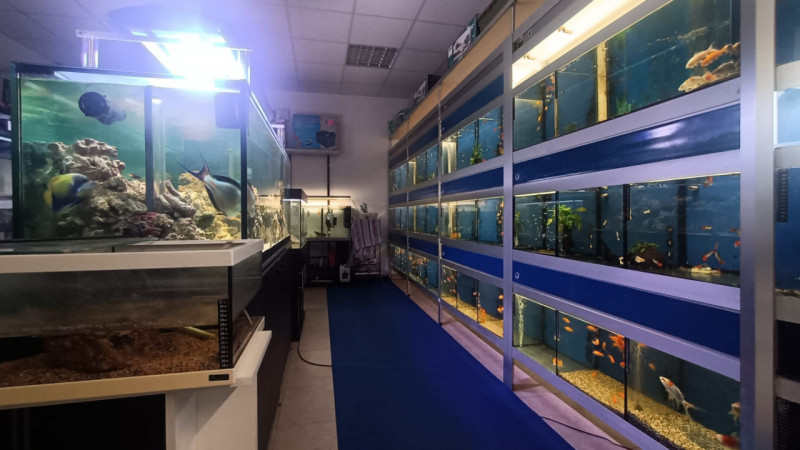 Immagine 21 di Attività commerciale in vendita  in via palestro a Calvisano