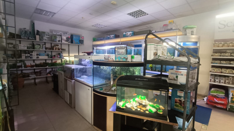 Immagine 22 di Attività commerciale in vendita  in via palestro a Calvisano