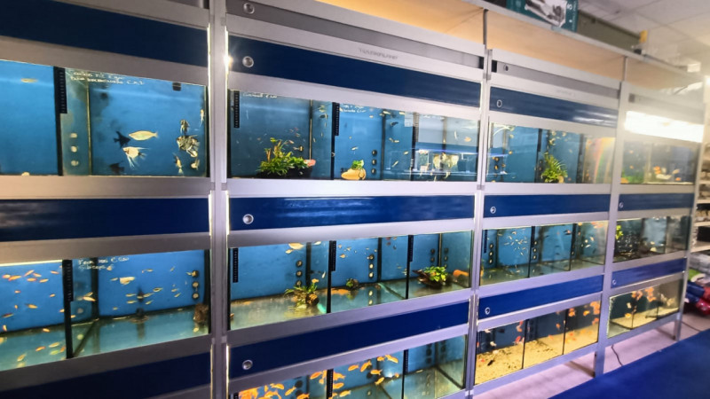 Immagine 28 di Attività commerciale in vendita  in via palestro a Calvisano