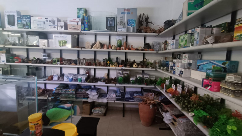 Immagine 29 di Attività commerciale in vendita  in via palestro a Calvisano