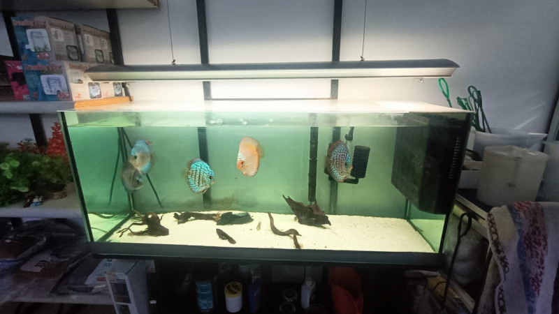 Immagine 30 di Attività commerciale in vendita  in via palestro a Calvisano