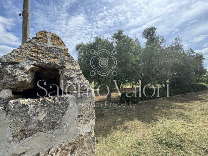 Immagine 3 di Villa in vendita  in Contrada La Corte a Parabita