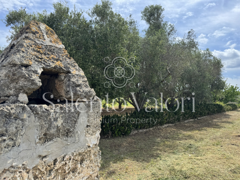 Immagine 4 di Villa in vendita  in Contrada La Corte a Parabita