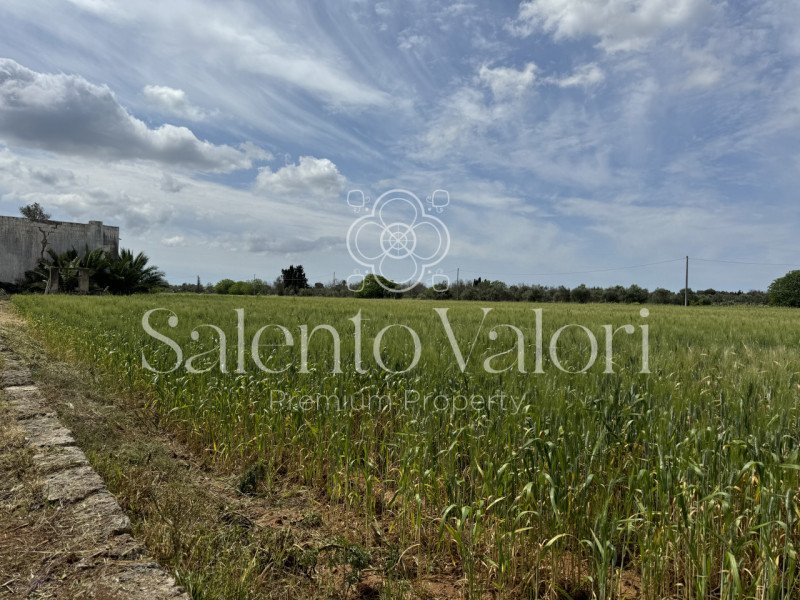 Immagine 5 di Villa in vendita  in Contrada La Corte a Parabita