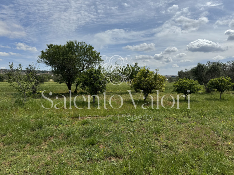 Immagine 6 di Villa in vendita  in Contrada La Corte a Parabita