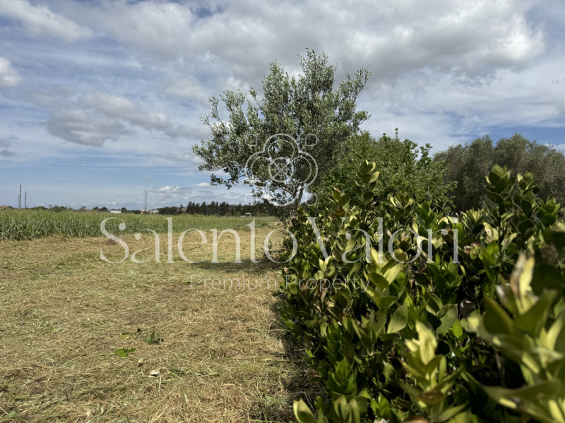 Immagine 7 di Villa in vendita  in Contrada La Corte a Parabita