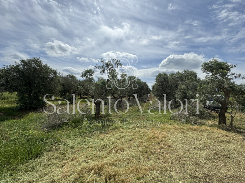 Immagine 9 di Villa in vendita  in Contrada La Corte a Parabita