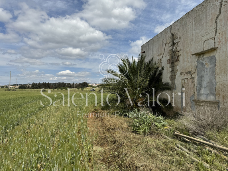 Immagine 27 di Villa in vendita  in Contrada La Corte a Parabita