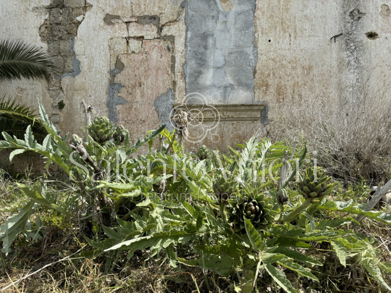 Immagine 28 di Villa in vendita  in Contrada La Corte a Parabita