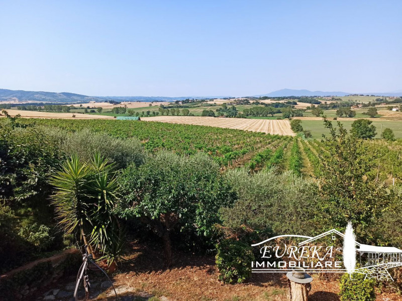 Immagine 6 di Villa in vendita  in via roma 152 a Castiglione Del Lago