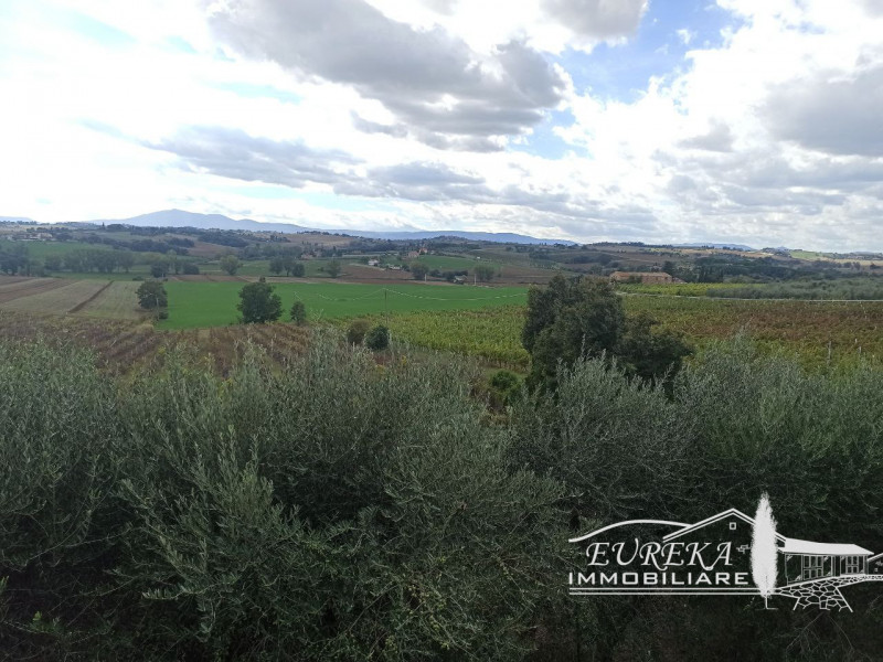 Immagine 47 di Villa in vendita  in via roma 152 a Castiglione Del Lago