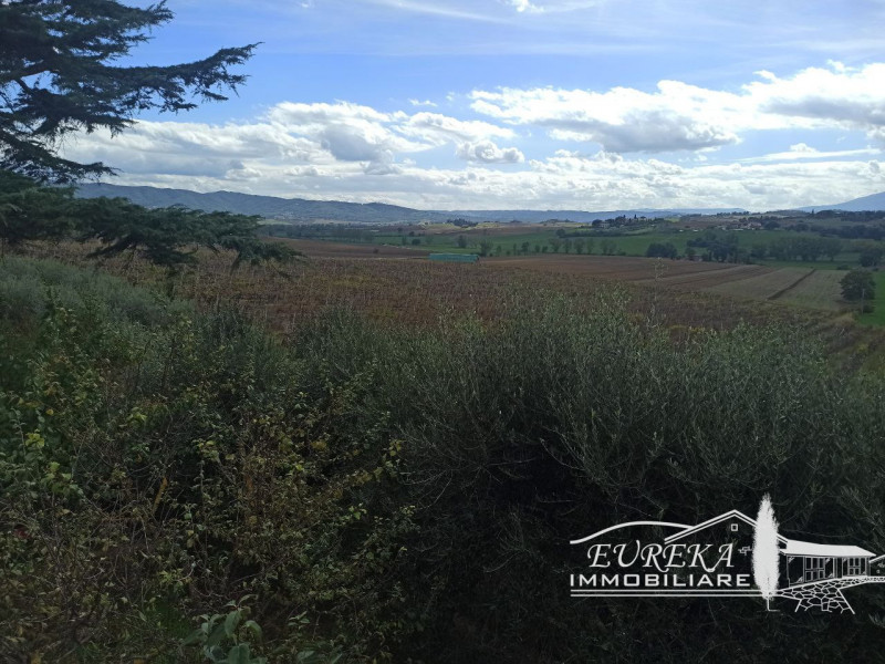 Immagine 51 di Villa in vendita  in via roma 152 a Castiglione Del Lago