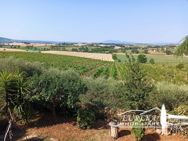 Immagine 63 di Villa in vendita  in via roma 152 a Castiglione Del Lago