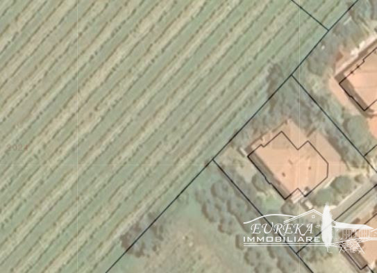 Immagine 68 di Villa in vendita  in via roma 152 a Castiglione Del Lago