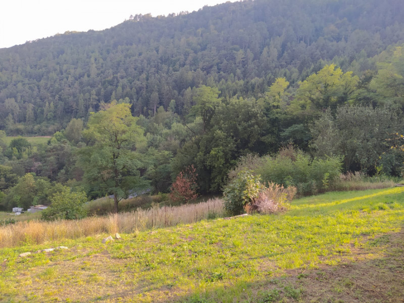 Immagine 3 di Terreno in vendita  a Civezzano