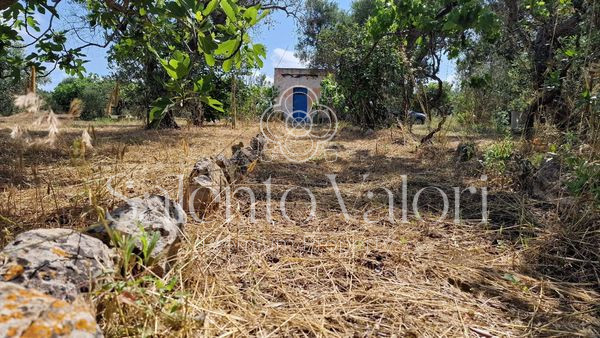 Immagine 2 di Terreno in vendita  in Contrada Tuli-Jala a Parabita