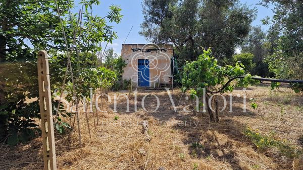 Immagine 3 di Terreno in vendita  in Contrada Tuli-Jala a Parabita