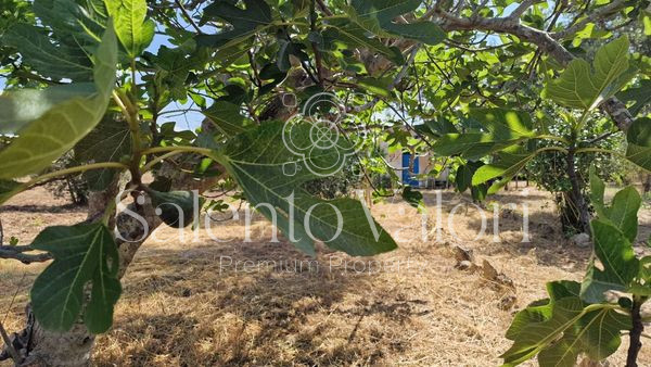 Immagine 4 di Terreno in vendita  in Contrada Tuli-Jala a Parabita