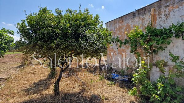 Immagine 5 di Terreno in vendita  in Contrada Tuli-Jala a Parabita