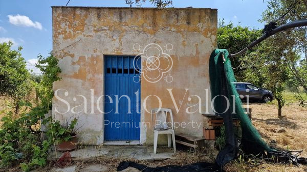 Immagine 6 di Terreno in vendita  in Contrada Tuli-Jala a Parabita