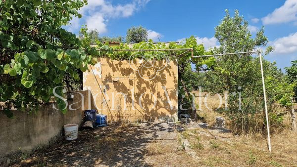 Immagine 7 di Terreno in vendita  in Contrada Tuli-Jala a Parabita