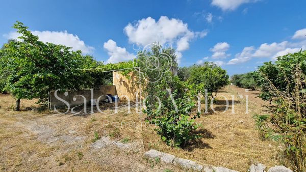 Immagine 8 di Terreno in vendita  in Contrada Tuli-Jala a Parabita