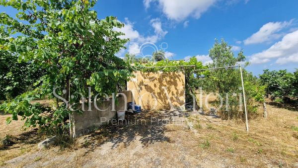 Immagine 9 di Terreno in vendita  in Contrada Tuli-Jala a Parabita