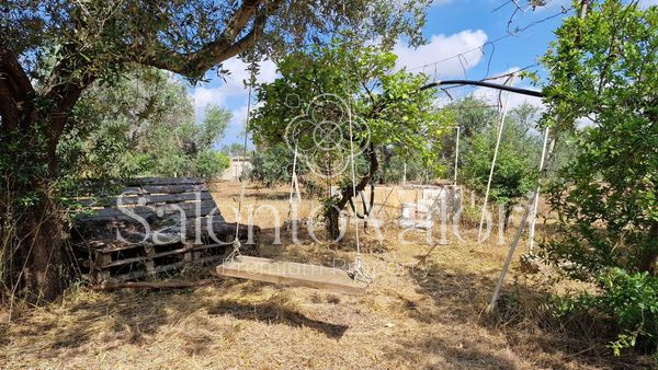 Immagine 12 di Terreno in vendita  in Contrada Tuli-Jala a Parabita