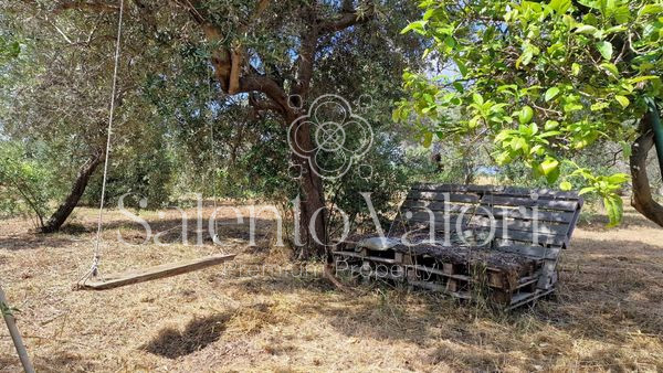 Immagine 13 di Terreno in vendita  in Contrada Tuli-Jala a Parabita