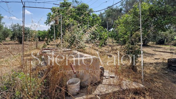 Immagine 14 di Terreno in vendita  in Contrada Tuli-Jala a Parabita