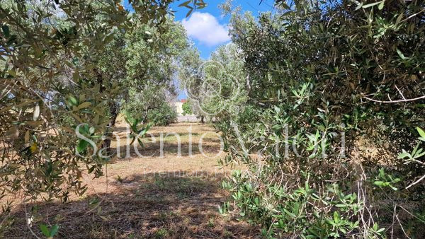 Immagine 15 di Terreno in vendita  in Contrada Tuli-Jala a Parabita
