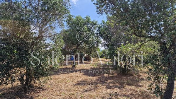 Immagine 16 di Terreno in vendita  in Contrada Tuli-Jala a Parabita