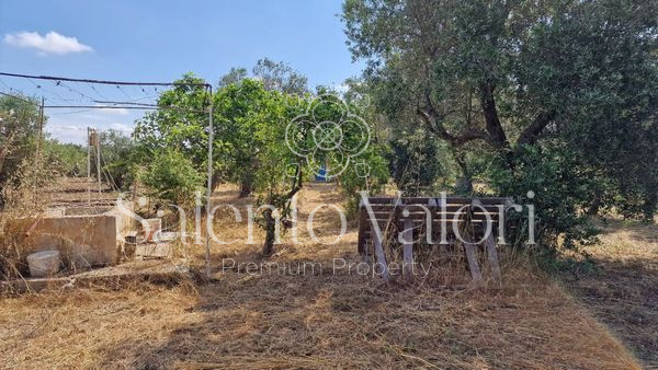 Immagine 17 di Terreno in vendita  in Contrada Tuli-Jala a Parabita