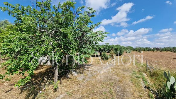 Immagine 18 di Terreno in vendita  in Contrada Tuli-Jala a Parabita