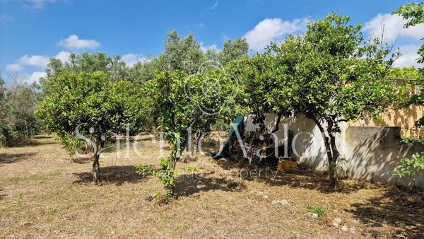 Immagine 19 di Terreno in vendita  in Contrada Tuli-Jala a Parabita