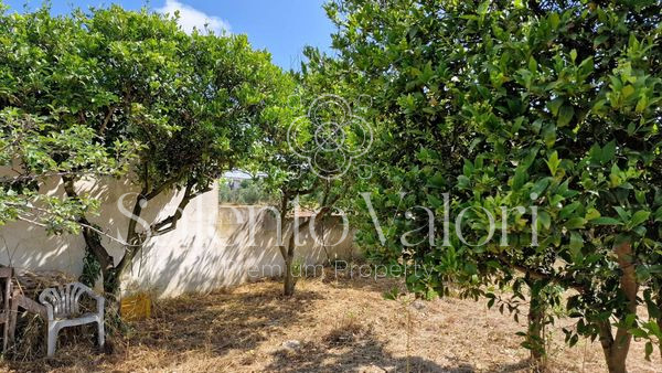 Immagine 21 di Terreno in vendita  in Contrada Tuli-Jala a Parabita